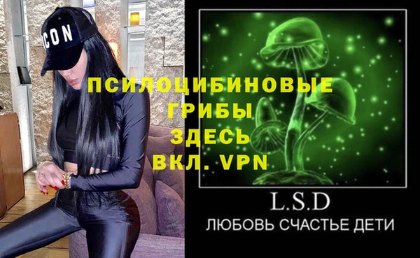 винт Богданович