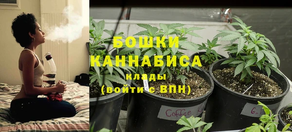 винт Богданович
