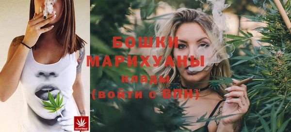 винт Богданович